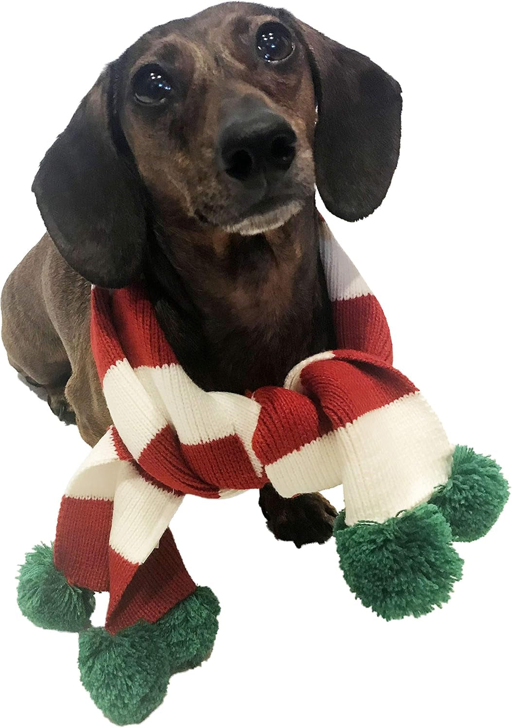 Christmas Striped Dog Scarf- Red/White & Green Pom Pom