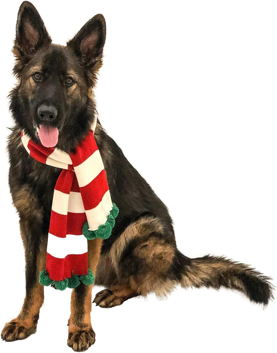 Christmas Striped Dog Scarf- Red/White & Green Pom Pom